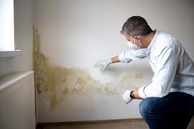 Mold Removal for HVAC Installations in Pinconning, MI